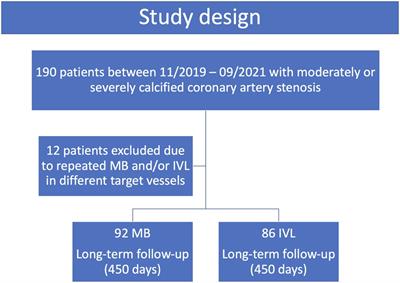 Comparison of long-term outcome in patients with calcified stenosis treated with intravascular lithotripsy or with modified balloon angioplasty: a propensity score-adjusted study